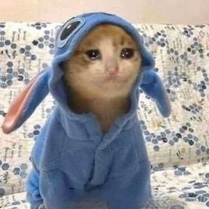 Meet your Posher, Elyse